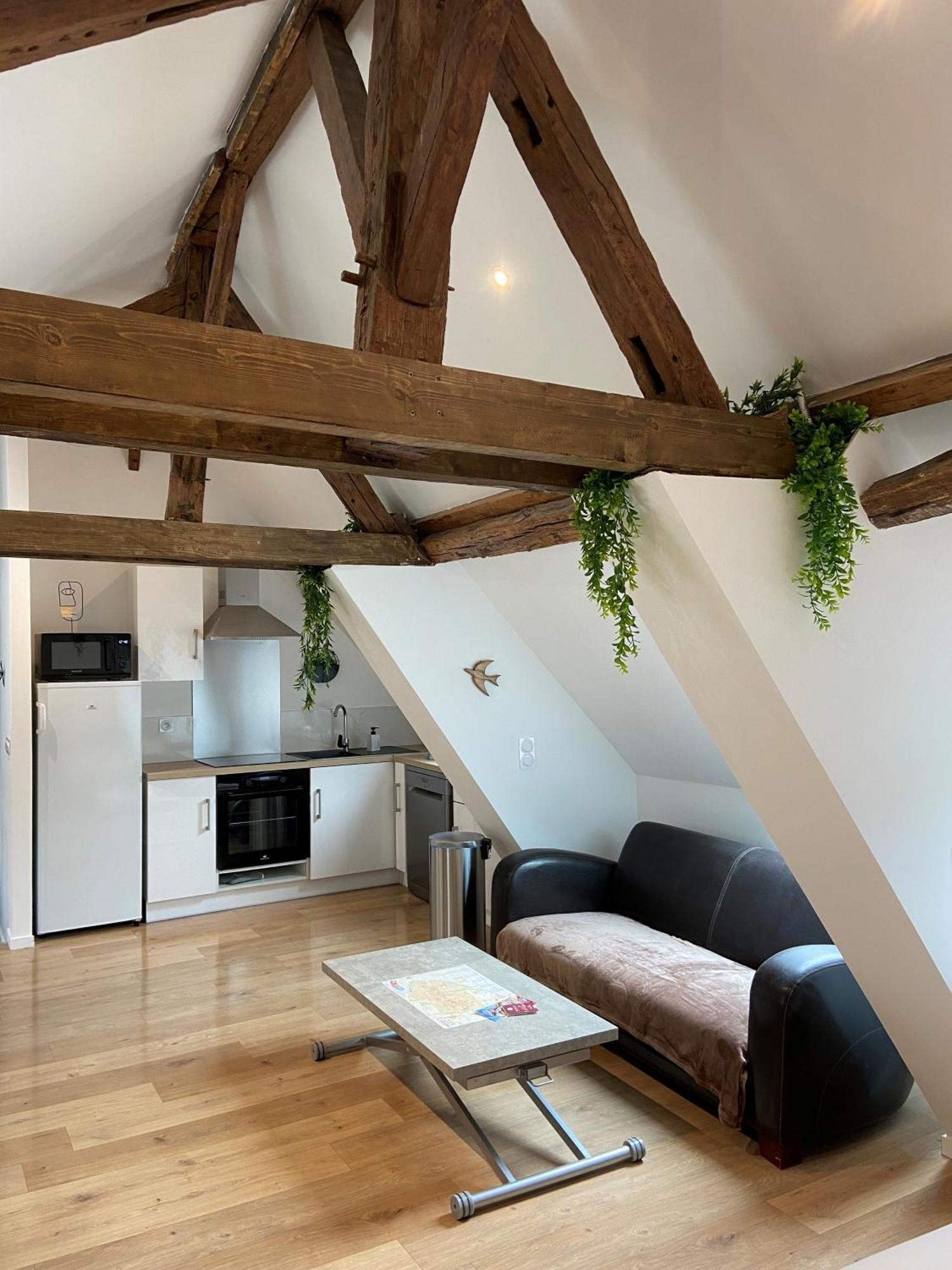 Ferienwohnung La Champenoise La Tannerie Troyes Exterior foto